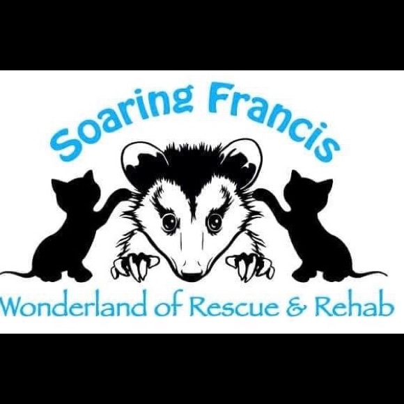 Meet your Posher, Amanda - Picture 4 of 4